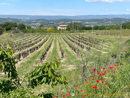 Bonnieux-Roussillon IMG 0047-(2)