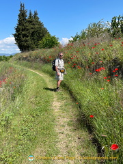 Bonnieux-Roussillon IMG 0048-(2)