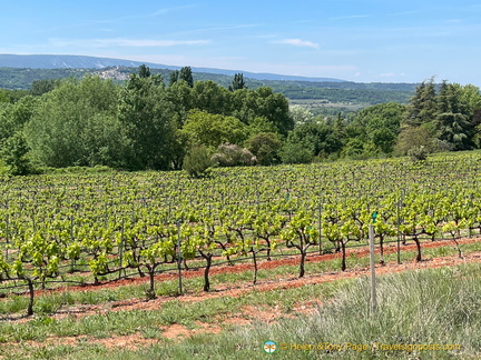 Bonnieux-Roussillon IMG 0049-(2)