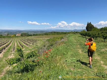 Bonnieux-Roussillon IMG 0023