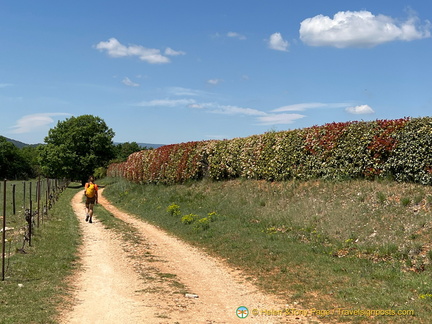 Bonnieux-Roussillon IMG 0026