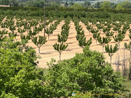 Bonnieux-Roussillon IMG 0028