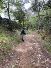 Tony sets off on our walk