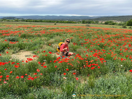 Roussillon-initial IMG 0016