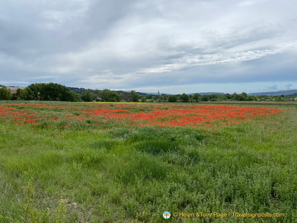 Roussillon-initial IMG 0035-(2)