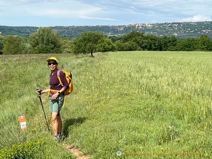 A great walk in the countryside