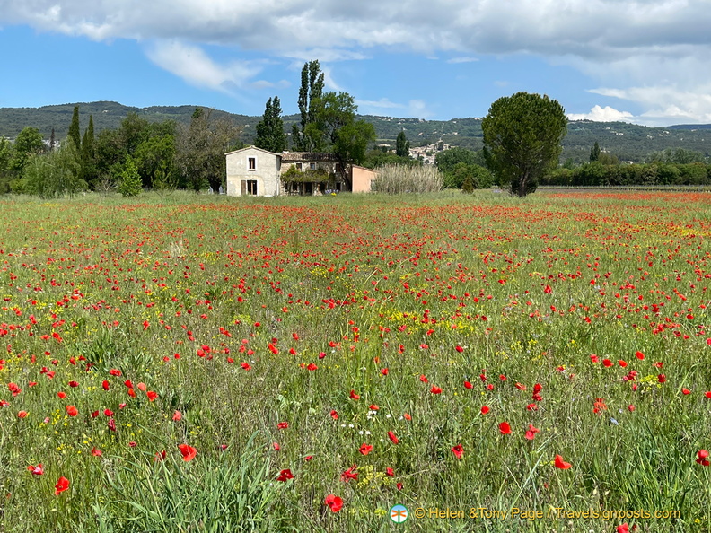 Roussillon-Gordes_IMG_0070-(2).jpg