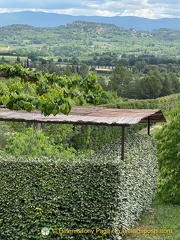 View of Gordes from Joucas