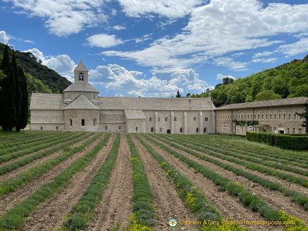 Abbaye de Sénanque