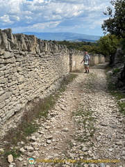 Gordes-AbbayeSenanque IMG 0107