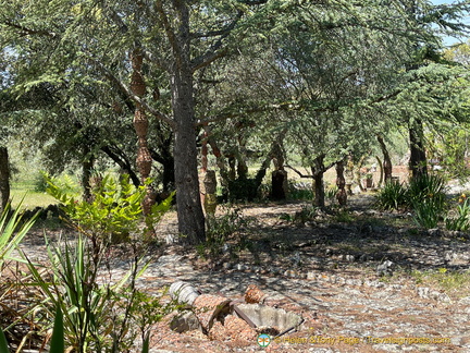 Leopold Truc's Paradise Garden