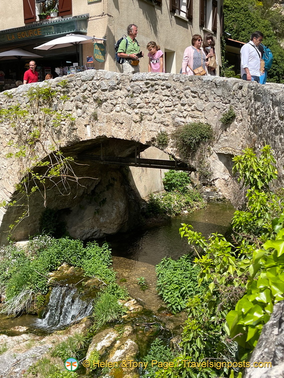 IMG 0681 (909 visits) IMG 0681