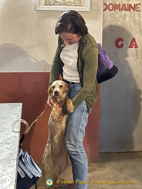 IMG 2565 (被訪問過 912 次) IMG 2565