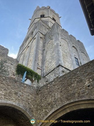 IMG 2532 (832 visits) IMG 2532