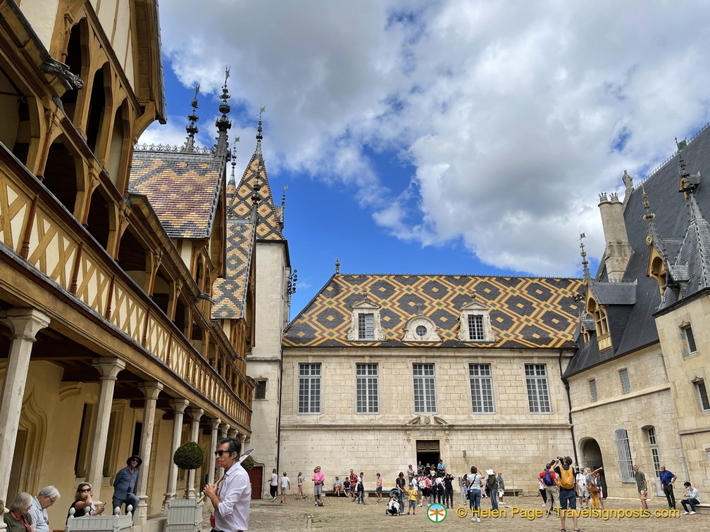 IMG 2739 (935 visits) IMG 2739
