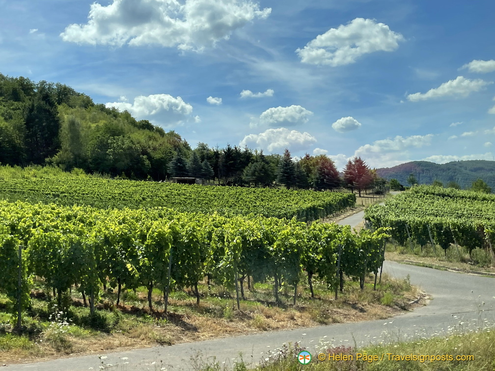 IMG 1771 (845 visits) IMG 1771