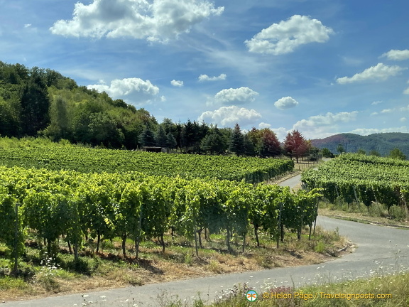 IMG 1771 (845 visits) IMG 1771