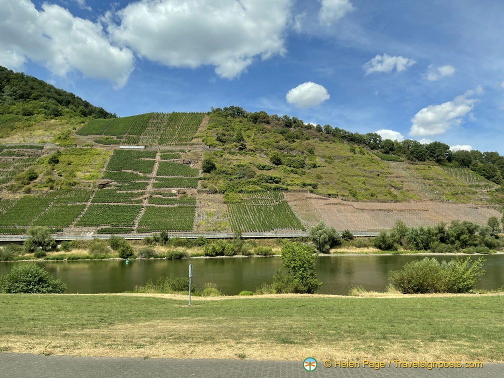 IMG 1773 (866 visits) IMG 1773