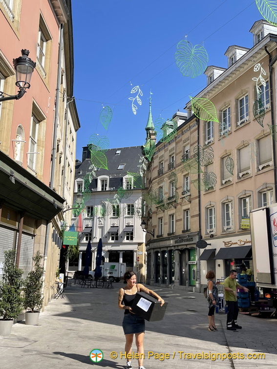 IMG 1911 (878 visits) IMG 1911