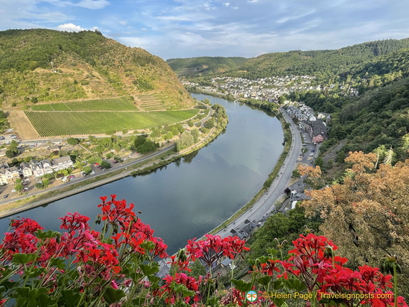 IMG 1710 (797 visits) IMG 1710