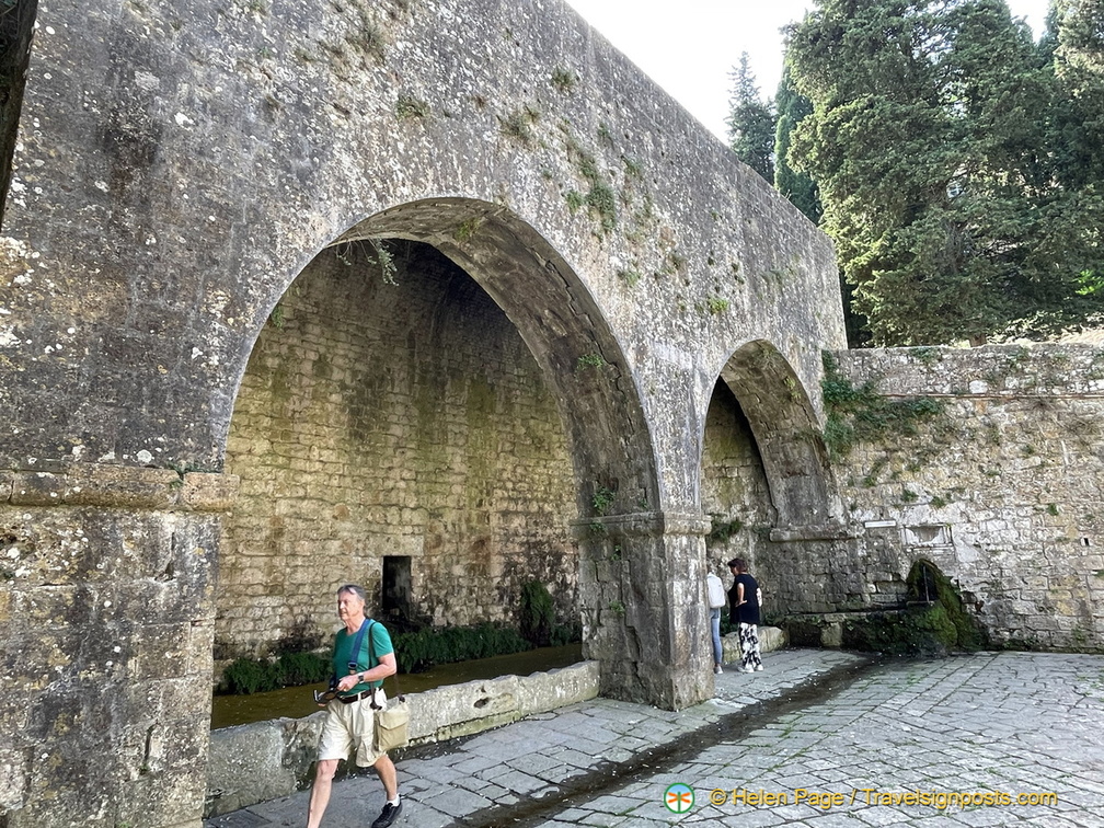 IMG 3534 (1324 visits) IMG 3534