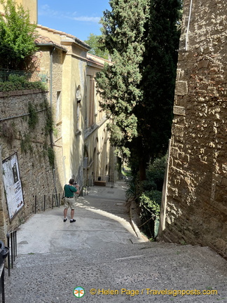 IMG 3541 (1279 visitas) IMG 3541