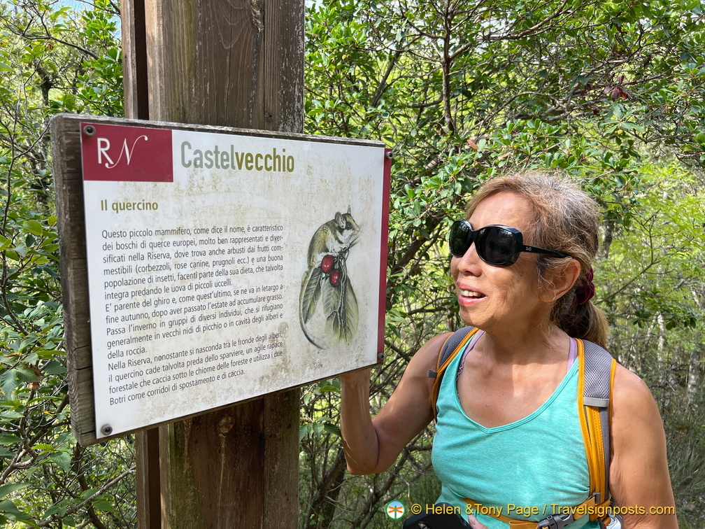 IMG 0102 (1551 visites) IMG 0102
