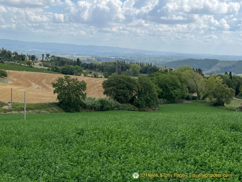 IMG 0112 (1326 ביקורים) IMG 0112