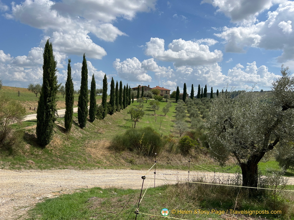 IMG 0114 (1275 visits) IMG 0114