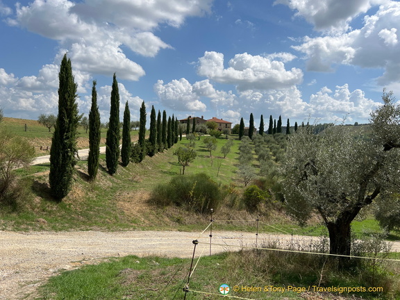 IMG 0114 (1272 külastust) IMG 0114