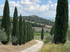 IMG 0116