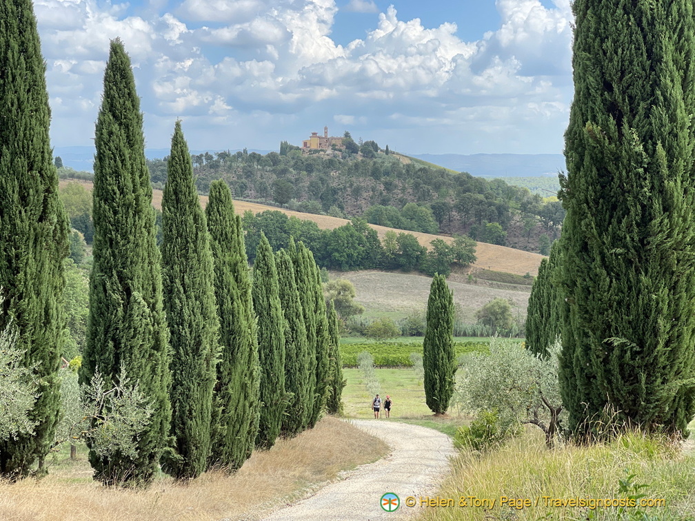 IMG 0167 (1249 visits) IMG 0167