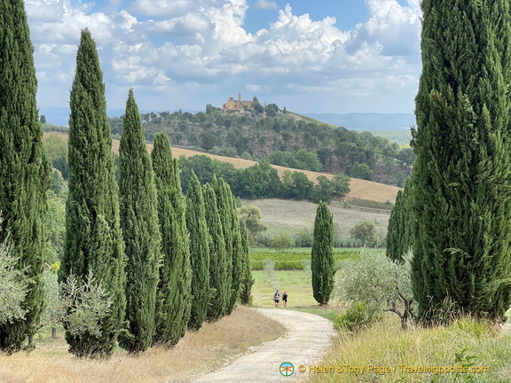 IMG 0167 (1249 visits) IMG 0167