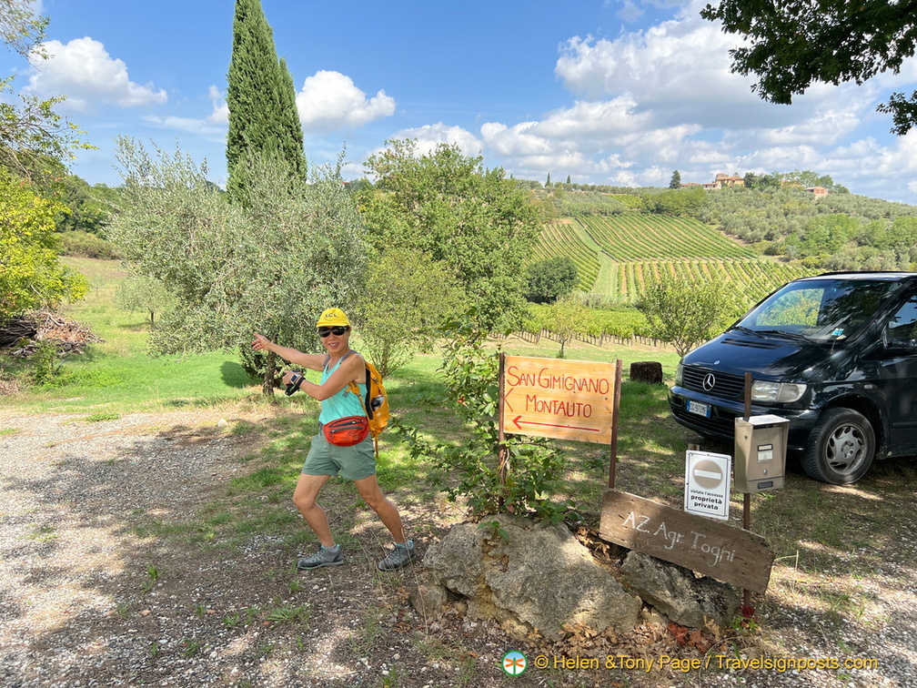 IMG 0117 (1242 visits) IMG 0117