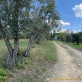 IMG 0121 (1180 ziyaret) IMG 0121