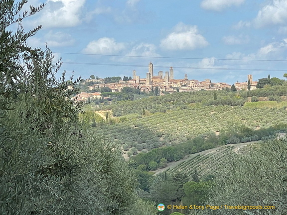 IMG 3604 (987 visits) IMG 3604