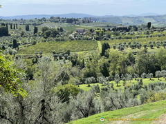 IMG 3645