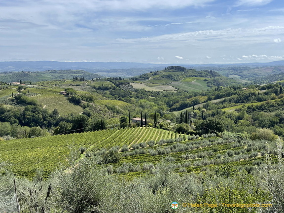 IMG 3646 (被訪問過 1254 次) IMG 3646