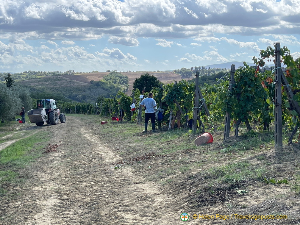 IMG 0194 (1790 visite) IMG 0194