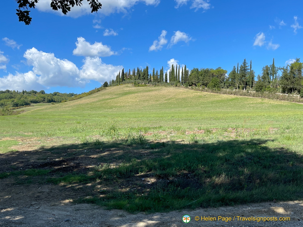 IMG 0200 (1587 visite) IMG 0200