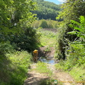 IMG_0144.jpg