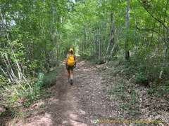 IMG 0177