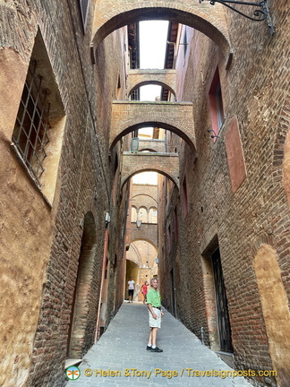 IMG 0290 (被訪問過 1844 次) IMG 0290