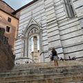 IMG 0229 (1771 visits) IMG 0229