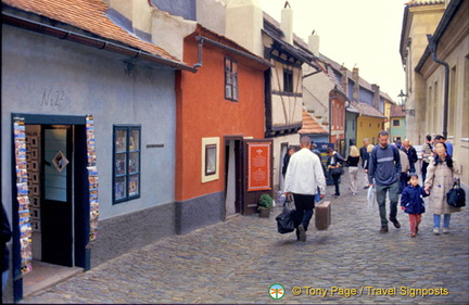 Golden-Lane Czech 0018