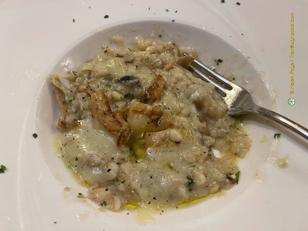 Porcini risotto