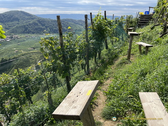 View of Cartizze vineyards