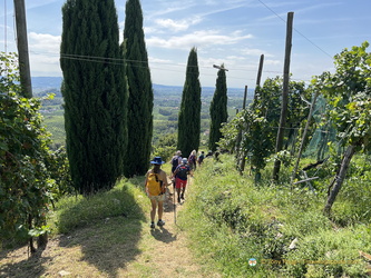 Walking the Prosecco Hills