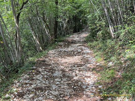 Rough uphill walk