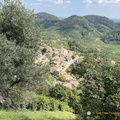 IMG_0278-watermarked.jpg